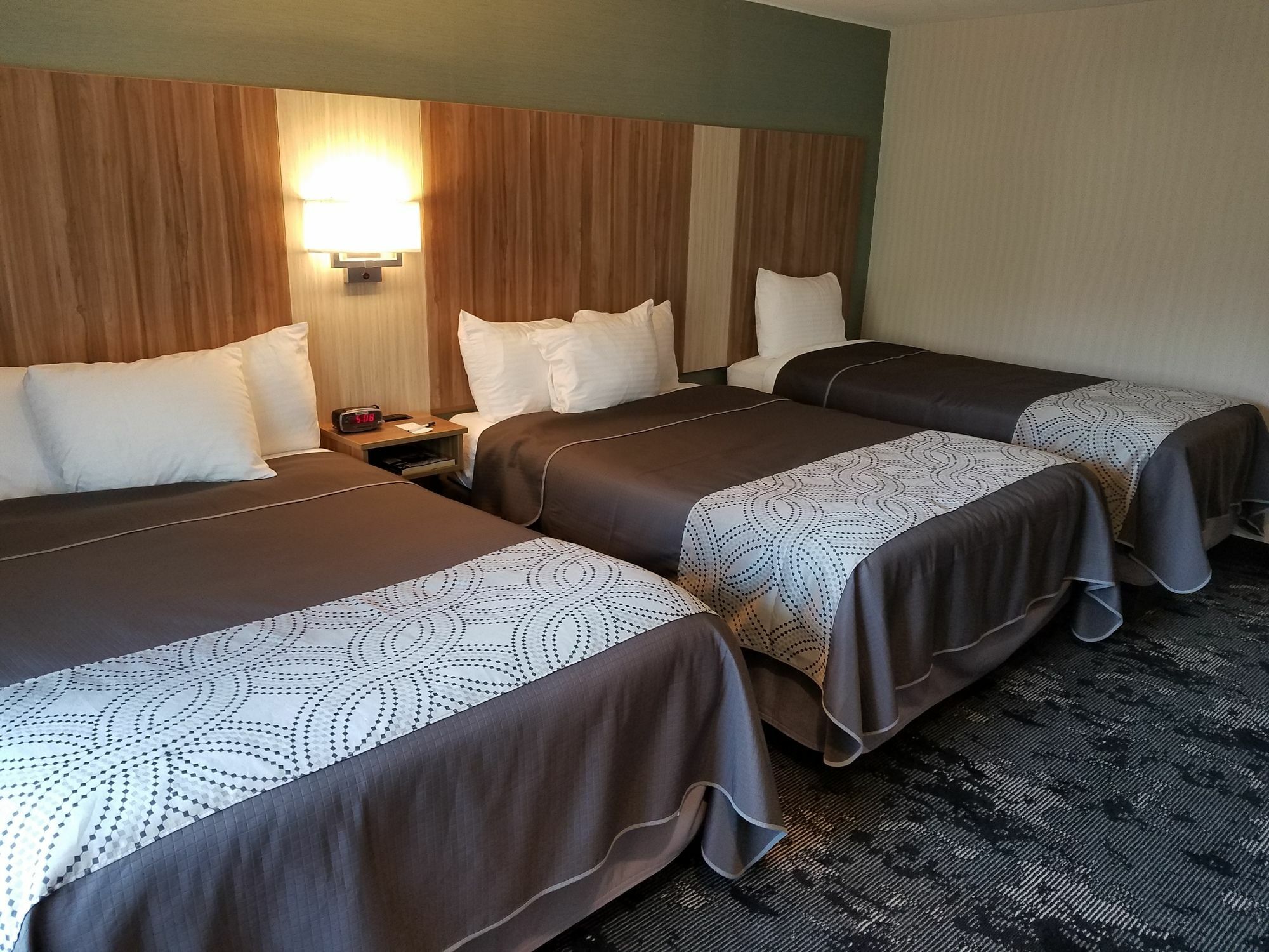 Aartpark Hotel Inn At Lewsiton Lewiston Extérieur photo
